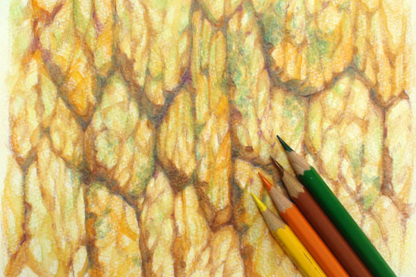 2017-color-pencil-texture07