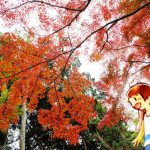 11月の紅葉の中へ