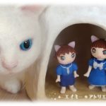 工作・クラフト「エイミー人形」を作りました。